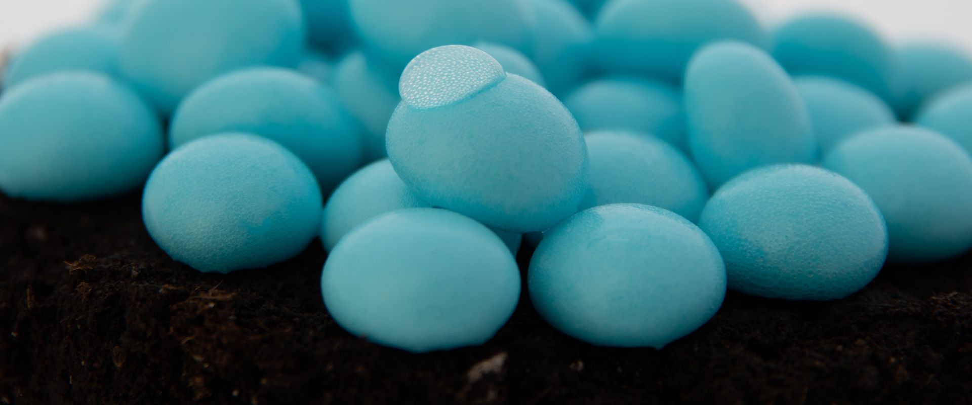 WaterPearls: organic, super-hydrophobic beads the size of a small grape